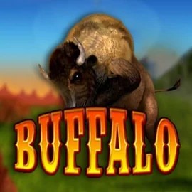 Buffalo Bingo slot icon by MGA Games, available at Run4Win Casino