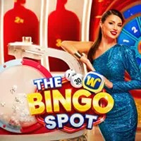 The Bingo Spot