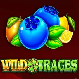 Wild Traces logo by Amusnet Interactive Run4Win Casino